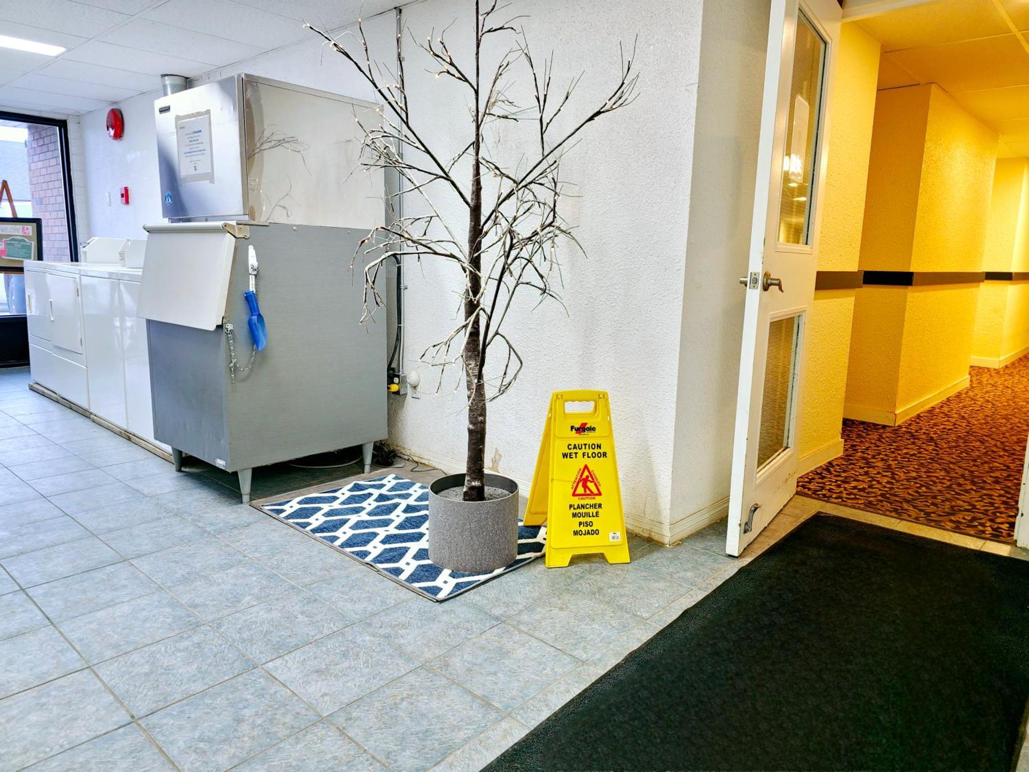 Cloud 9 Inn ホワイトコート エクステリア 写真